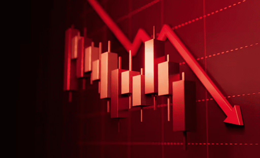 BSH: Fiksimi i kursit të Euros do ta çonte inflacionin në 7 për qind e do ta ulte rritjen ekonomike